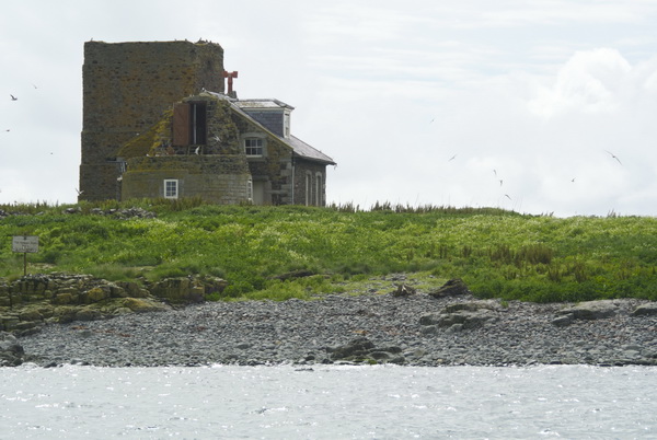 Isole Farne