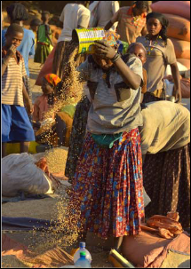 Viaggio in Etiopia