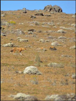 Viaggio in Etiopia