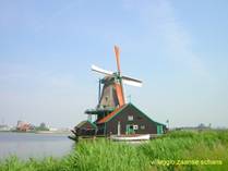 viaggio in Olanda
