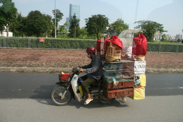 In moto per le strade di Saigon