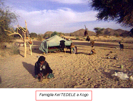 viaggi Niger