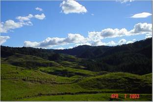 Viaggio in Nuova Zelanda