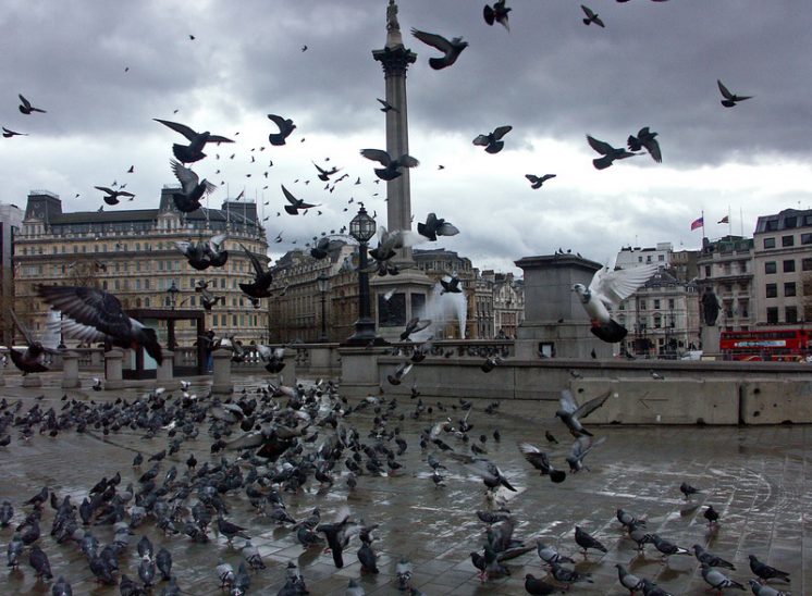 Trafalgar Square dopo un temporale